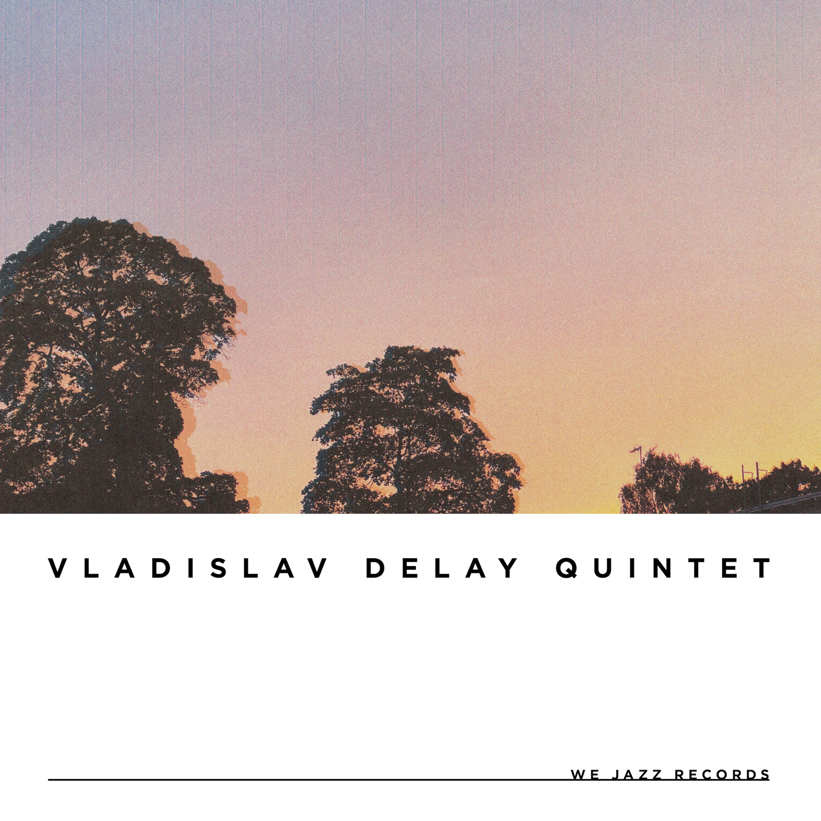 Vladislav Delay Quintet - vd5 Vinyl LP album cover