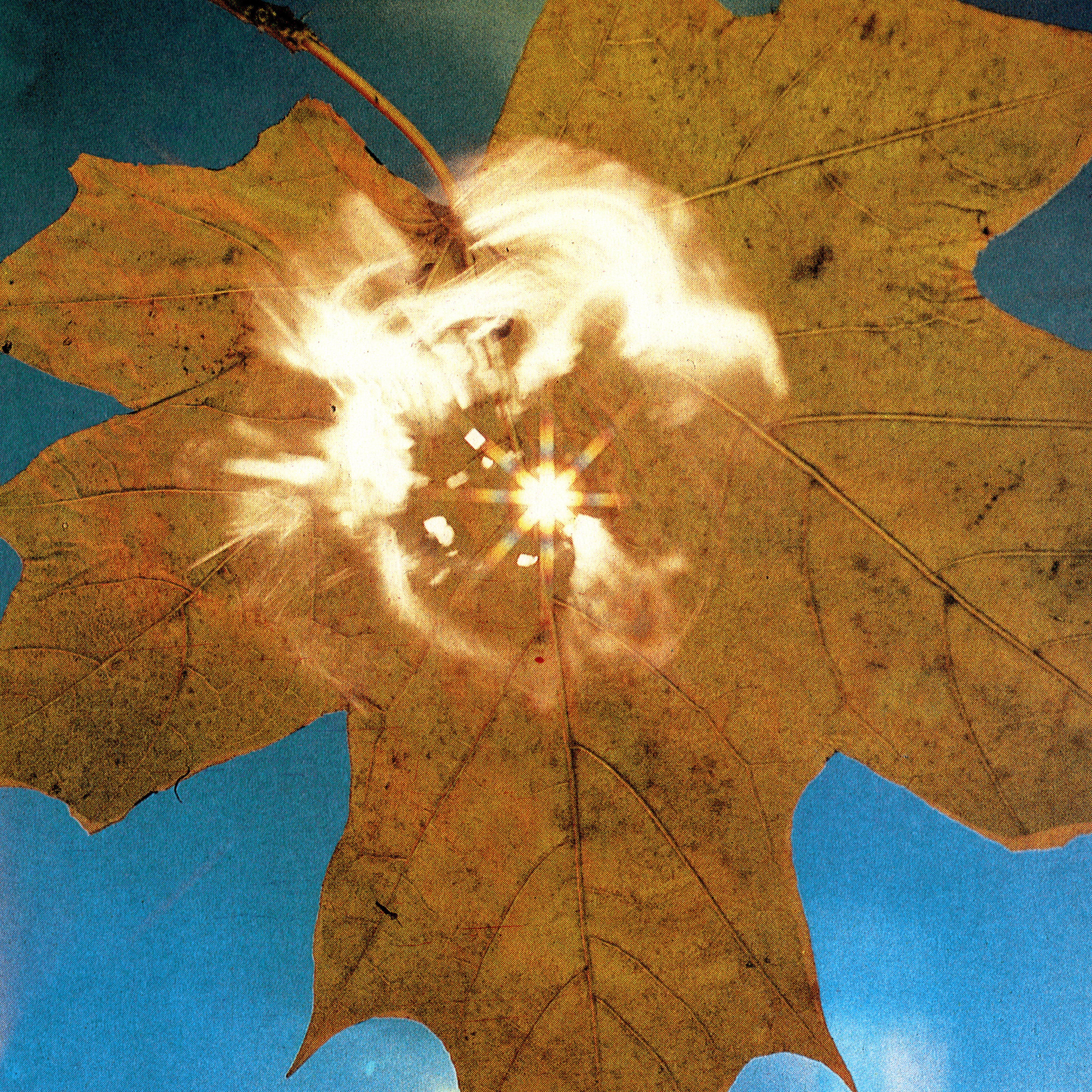 Soyuz - Force Of The Wind Vinyl LP album cover