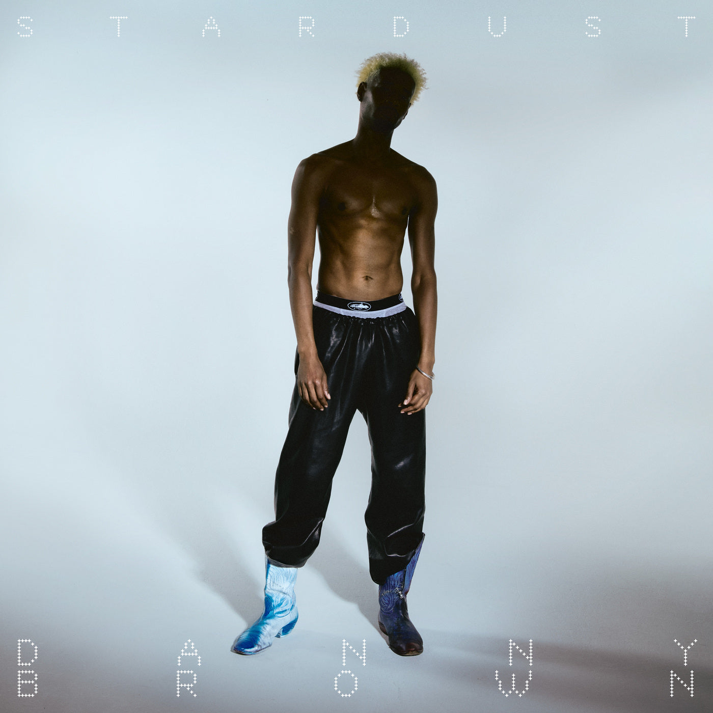 Danny Brown - Stardust Vinyl 2LP album cover