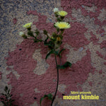Album Cover of Mount Kimbie - Fabric Presents Mount Kimbie Vinyl 2LP on Fabric Records