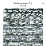Tord Gustavsen Trio - Seeing Vinyl LP album cover