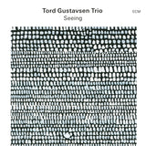 Tord Gustavsen Trio - Seeing Vinyl LP album cover