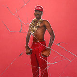 Tyler, The Creator - Don't Tap The Glass Vinyl LP album cover
